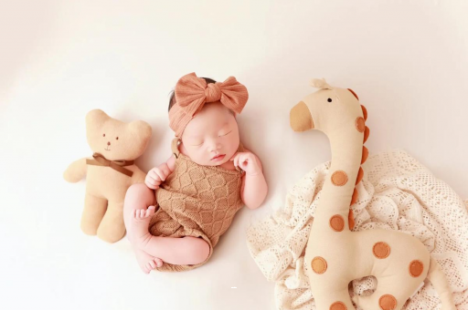 济源宝宝虾的做法 济源宝宝虾的做法